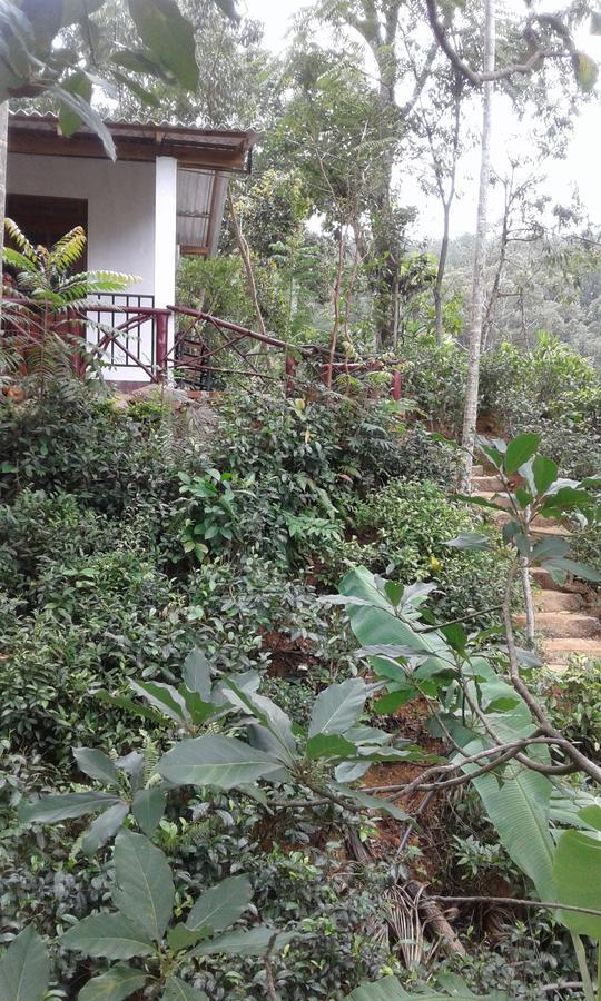 Hotel Mountain Nest Ella Exterior foto